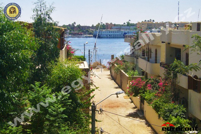 Egypt - Pronájem - Luxor House - Ulice k Nilu